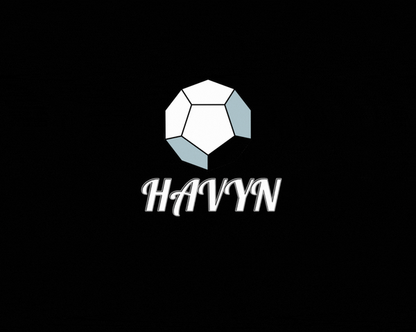 Havyn Supply
